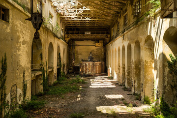Fototapeta premium A hydro turbine in an abandoned hydropower plant is slowly being reclaimed by nature