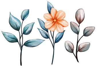 Watercolor eucalyptus and anemone floral set. Hand painted blue, red and white anemone, berry, eucalyptus leaves and branches isolated on white background. Illustration for design, print or fabric