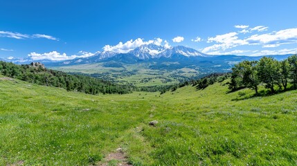 Mountain valley trail, wildflowers, sunny day, scenic view, nature landscape