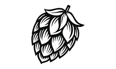 Beer hop vector Illustration, monochrome design, detailed vector, on a isolated background