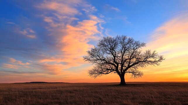 Majestic solitary tree silhouetted against a colorful sunrise landscape in an open field : Generative AI