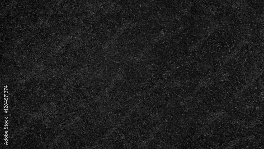 Poster A black background with no visible objects. The background is dark and has a moody atmosphere. It could be used for a photo shoot or a painting