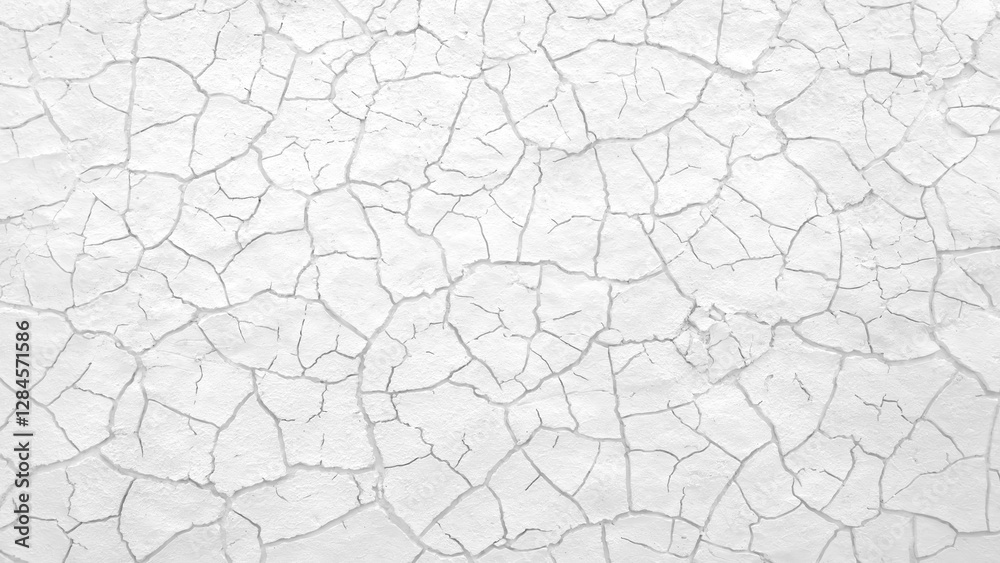 Poster image is a close up of a wall with many cracks and holes. the wall appears to be old and worn down, 