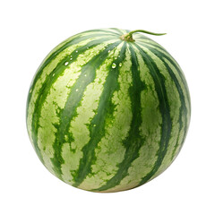 watermelon fruit