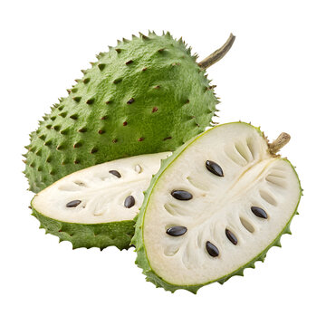 soursop fruit