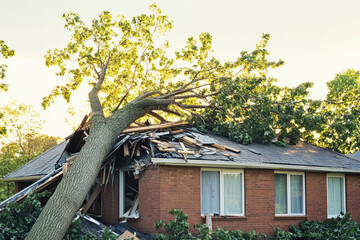 Large tree crashes onto residential brick home during storm. Generative AI