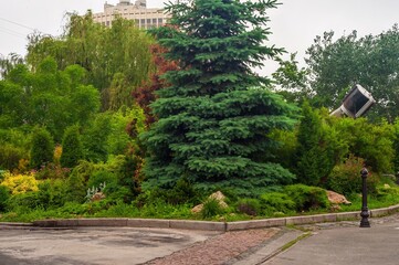A vibrant green city park showcases a variety of trees and plants, offering a peaceful escape.