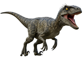 Isolated Velociraptor Standing in a Fierce Pose