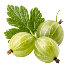gooseberry fruit
