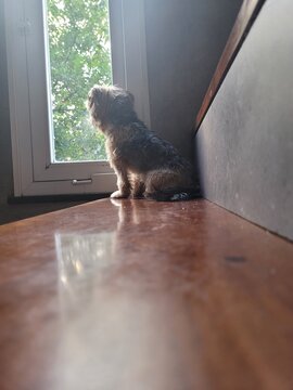 Esperando meu pai
