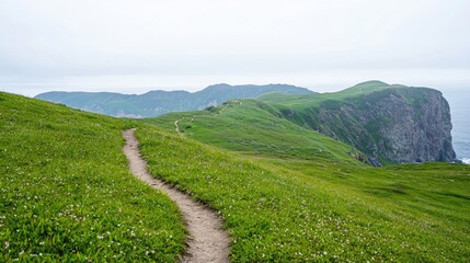 Fototapeta premium Narrow dirt hiking trail winds through lush green grassy hills towards a steep rocky cliff overlooking the ocean under an overcast sky.