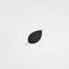Obraz premium A minimalist black-and-white image of a single leaf swinging in the wind