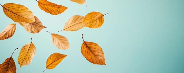 Obraz premium Golden leaves drifting in circles, caught in an autumn breeze