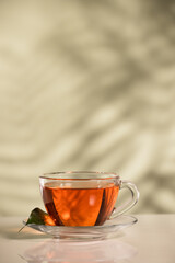 aromatic, red tea on a light green background with shadows from the foliage background.
