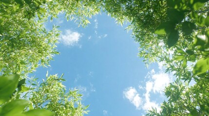 Summer sky seen through leaves, nature background