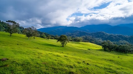 Breathtaking panoramic view of lush green hills under a cloudy sky : Generative AI