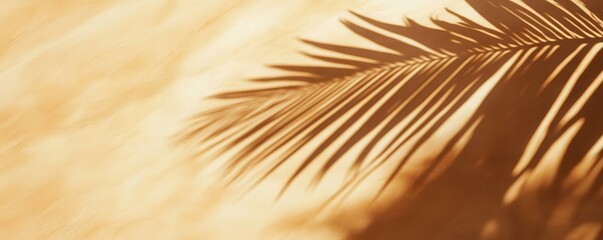 Obraz premium Palm leaf shadow on sunny sand creating a tranquil tropical atmosphere