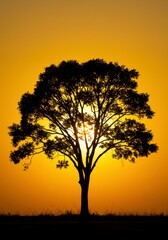 Obraz premium A striking silhouette of a tree set against a glowing yellow sunset sky.