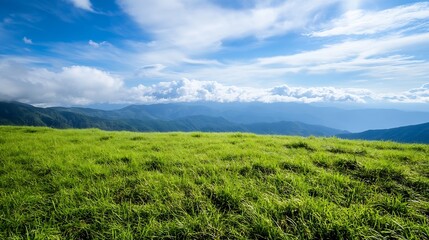 Fototapeta premium Panoramic view of lush green grass fields under a bright blue sky with scattered clouds : Generative AI
