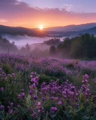 Scenic sunrise over misty field of wildflowers during beltane festival