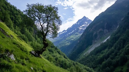 Naklejka premium Majestic mountain valley with a lone tree capturing the essence of nature's beauty and wilderness : Generative AI