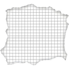 The image showcases a piece of torn paper with a grid pattern, featuring irregular edges and a white surface.