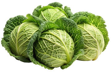 cabbage isolated on white background