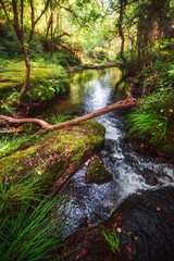 Obraz premium Sete Muíños