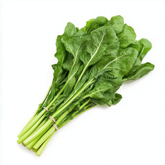 Karpas (green vegetable, symbol of spring and renewal) on a white background