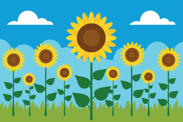 Sunflower Field in the Heart of Summer. A Scenic Sky View