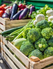 Organic Vegetables &ndash; Healthy Products from Farmers Market, Boxes with Fresh Vegetables, Baskets of Various Vegetables, Organic Supermarket Section