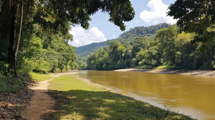 Fototapeta premium Serene River Path in Lush Green Rainforest