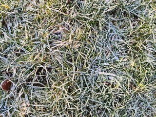 Frozen grass blades covered in winter frost create stunning natural texture