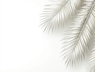 Obraz premium Elegant White Background With a Detailed Palm Leaf Casting Gentle Shadows in a Minimalist Setting Showcasing Nature's Beauty