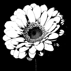 Stunning Black and White Floral Art
