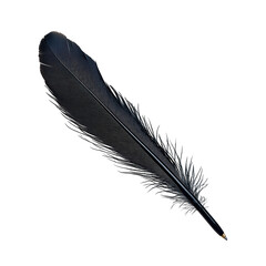 Isolated Sophisticated Dark Feather Quill Pen, Classic Writing Instrument