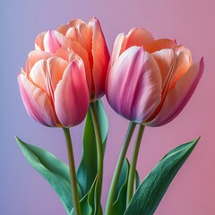 Fototapeta premium Still life flowers for Women's Day