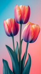 Still life flowers for Women's Day