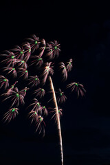 山形県 大石田祭最上川花火大会 尺玉 Oishida Festival Fireworks 12 inch shell