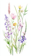 Obraz premium Colorful wildflowers capture the essence of nature in a delicate watercolor illustration, celebrating the beauty of a summer meadow