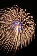 大石田まつり花火大会 尺玉 山形県  Oishida Festival Fireworks 12 inch shell