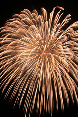 山形 大石田祭 二尺玉 Oishida Festival 24 inch shell