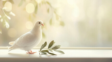 Fototapeta premium Graceful White Dove Standing with Olive Branch on Sunlit Surface. Concept of Peace, Serenity, Nature's Beauty, Symbolic Harmony, bird, pigeon, Dove of peace. Copy space