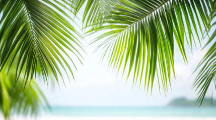 Fototapeta premium Vibrant Green Palm Leaves Close-Up on Sunny Beach Background Concept of Tropical Nature, Relaxation, Exotic Vacations, Summertime Vibes. Summer Background, greeting card, Copy space
