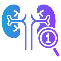 Kidney Function glyph gradient icon