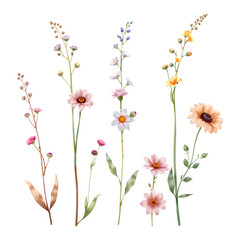 A collection of various colorful flowers with distinct shapes and sizes, showcasing natural beauty and diversity.