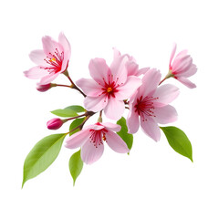 Obraz premium A delicate cluster of pink flowers with vibrant petals and green leaves, showcasing nature's beauty.