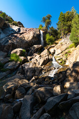 Mammutbäume in Sequoia Nationalpark