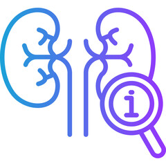 Kidney Function line gradient icon