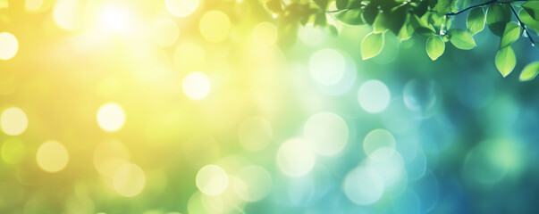 Fototapeta premium The bright sun is shining gently through the vibrant leaves of a tree